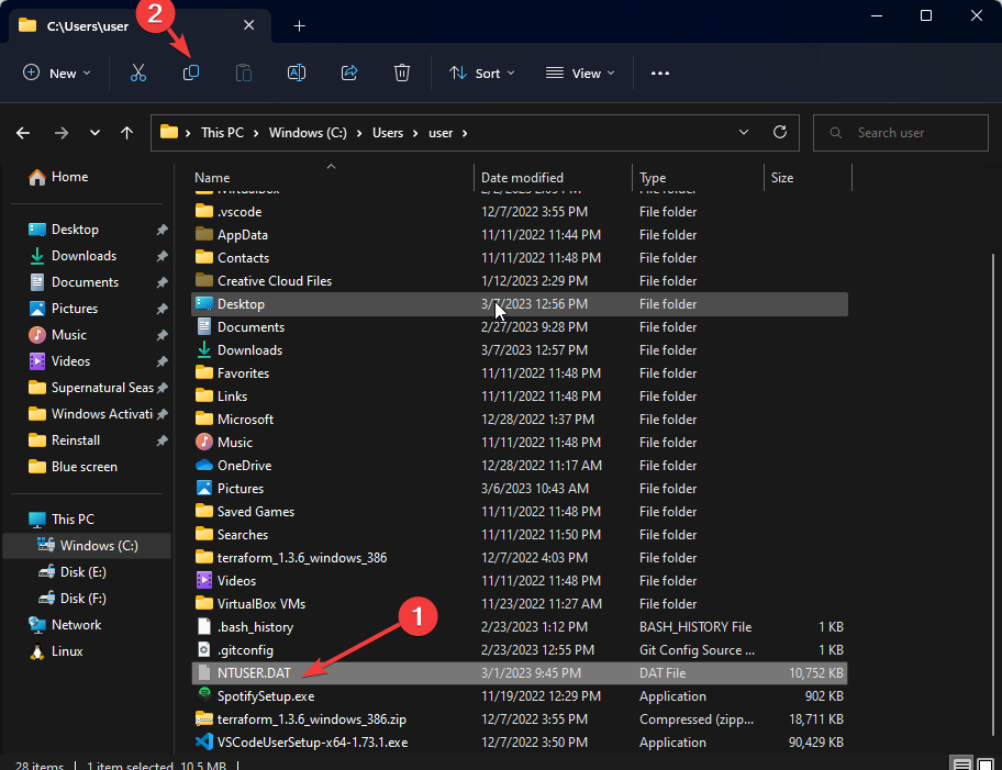 Copy the file