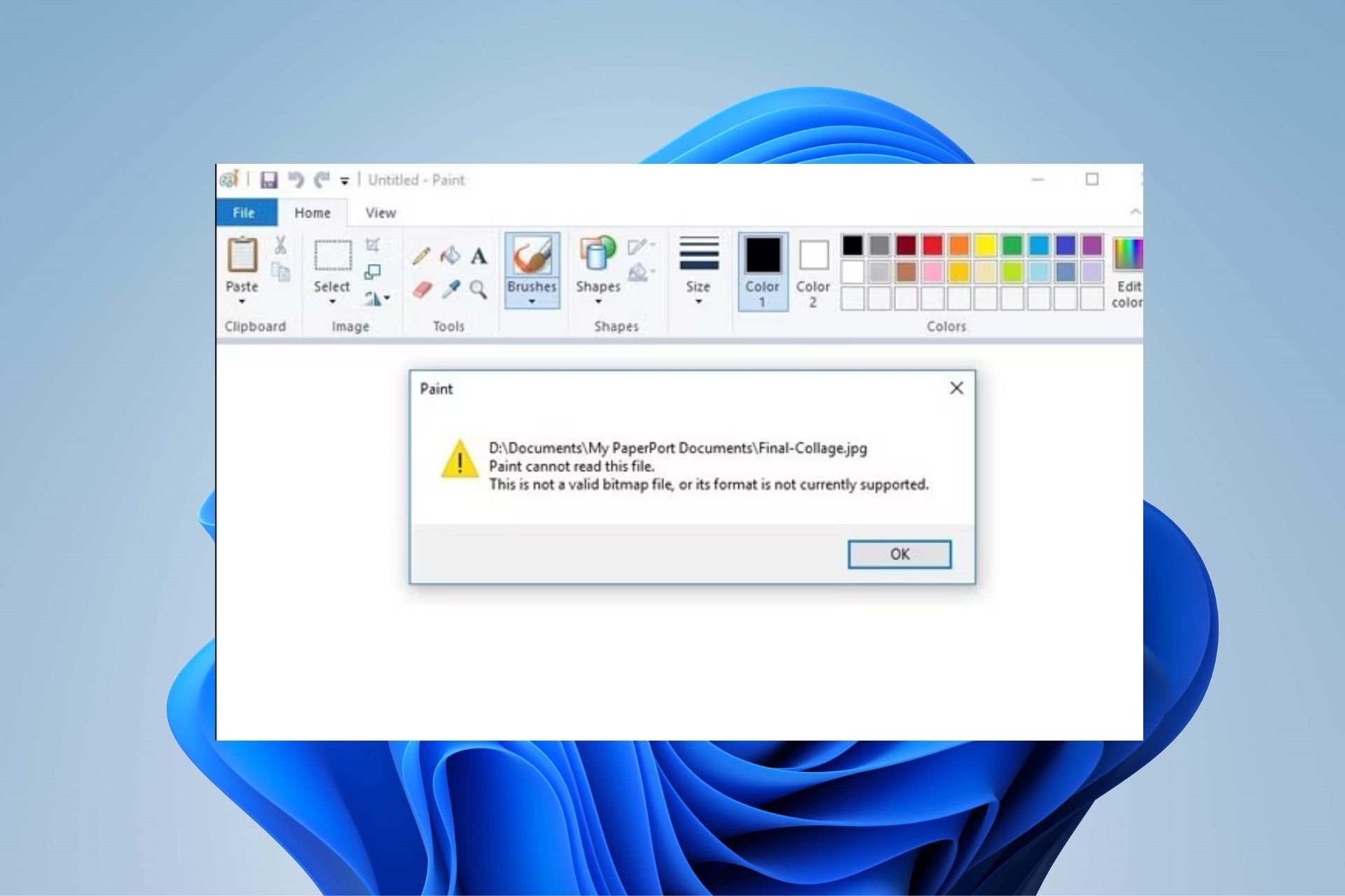 paint cannot read this file
