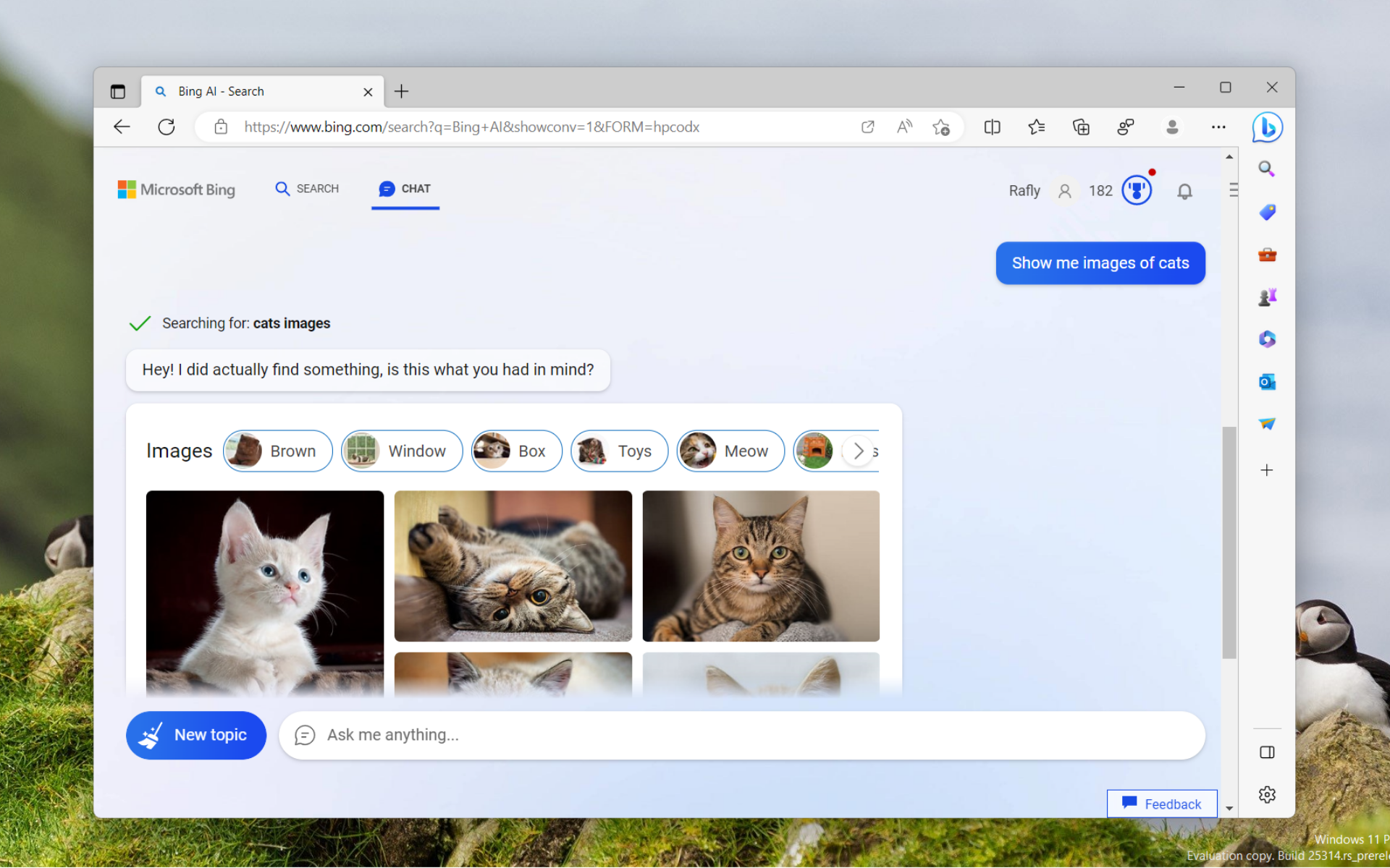 You Can Now Search Images On Bing AI Chatbot Here s How