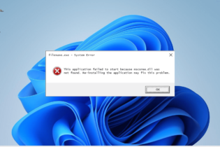 Mscoree.dll Not Found Error: How to Fix It