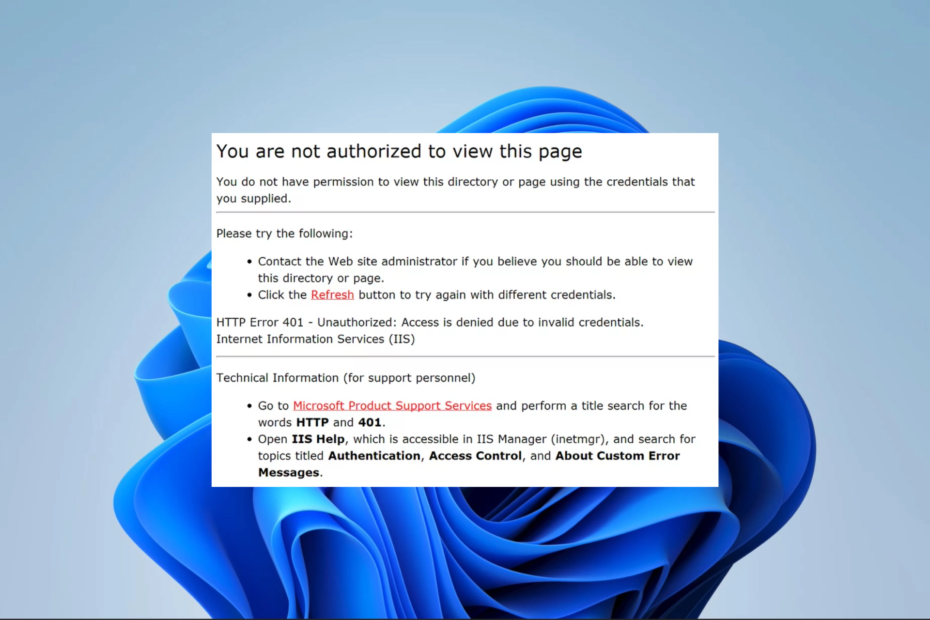 You Don't Have Authorization to View this Page: How to Fix