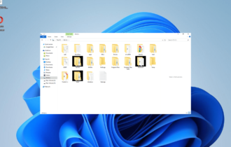 black squares behind folder icons