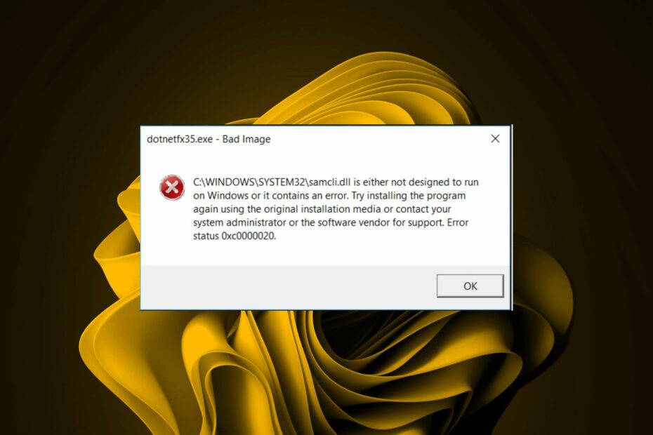 Dotnetfx35setup.exe: What Is It & How to Fix Its Errors?