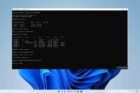 SSD Showing RAW File System: How to Fix it