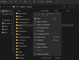 Oops You've Got An Ultra Rare Error on Discord [Fix]
