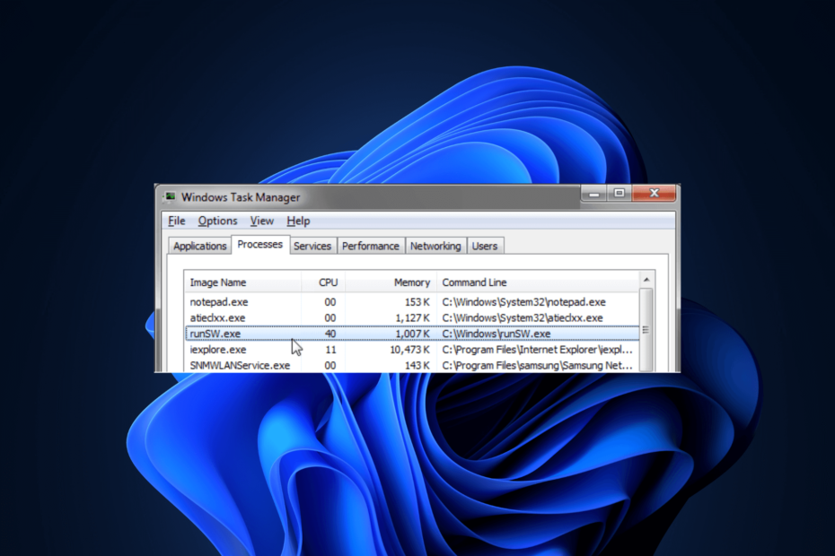 What Is RunSW exe How To Fix Its High Memory Usage What is runsw exe how to fix its high memory usage