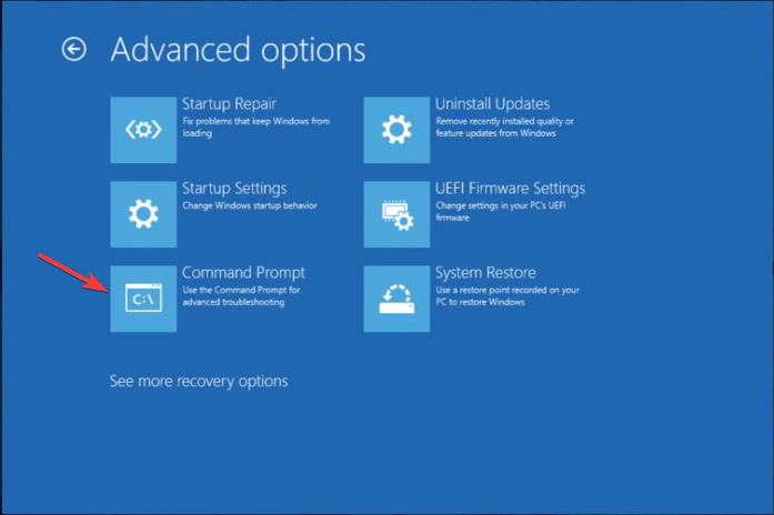 Command Prompt Advanced Options .