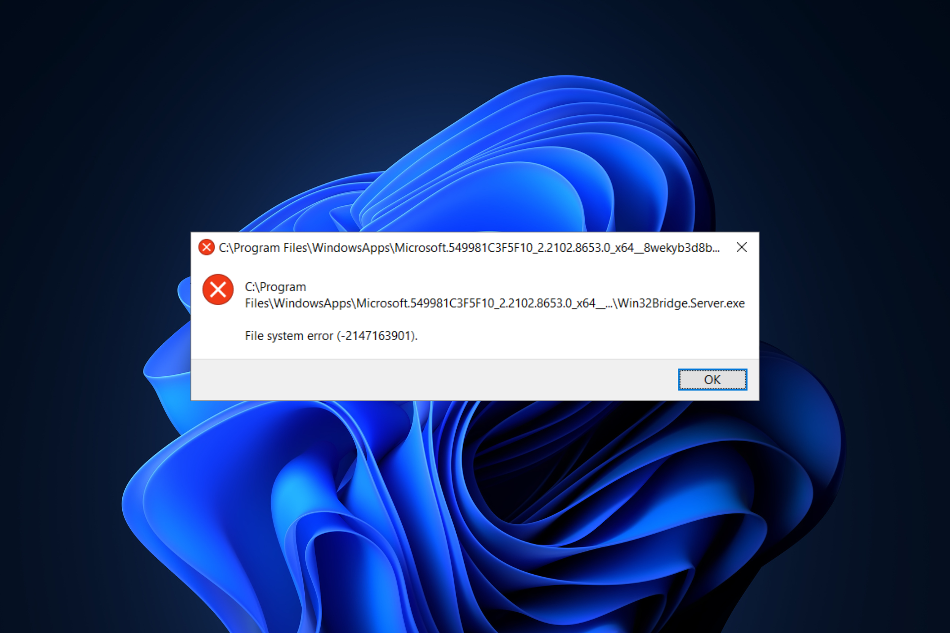 File System Error (-2147163901) on Windows 11