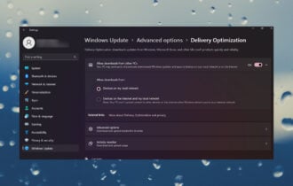 What are Delivery Optimization files on Windows 11