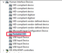 XP-Pen Driver for Windows 11: Download & Install