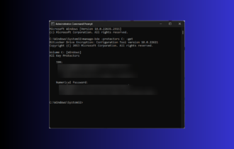 Get BitLocker Recovery Key from CMD