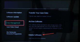 Play Switch Games Offline: How to Play Downloaded Games