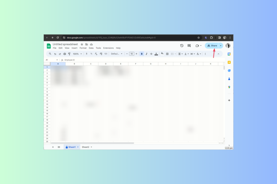 Share -Give Edit Access to Google Sheets