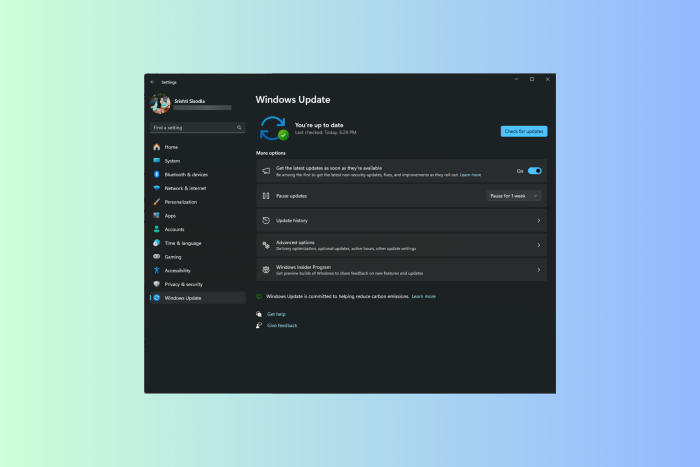 Windows 11 Insider Preview Build 22635.3140