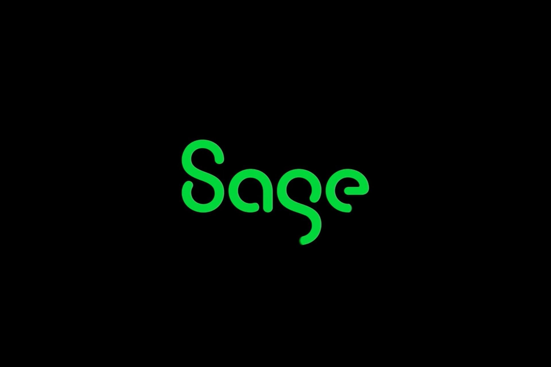 Sage Copilot might be a better alternative to Microsoft Copilot and here’s why