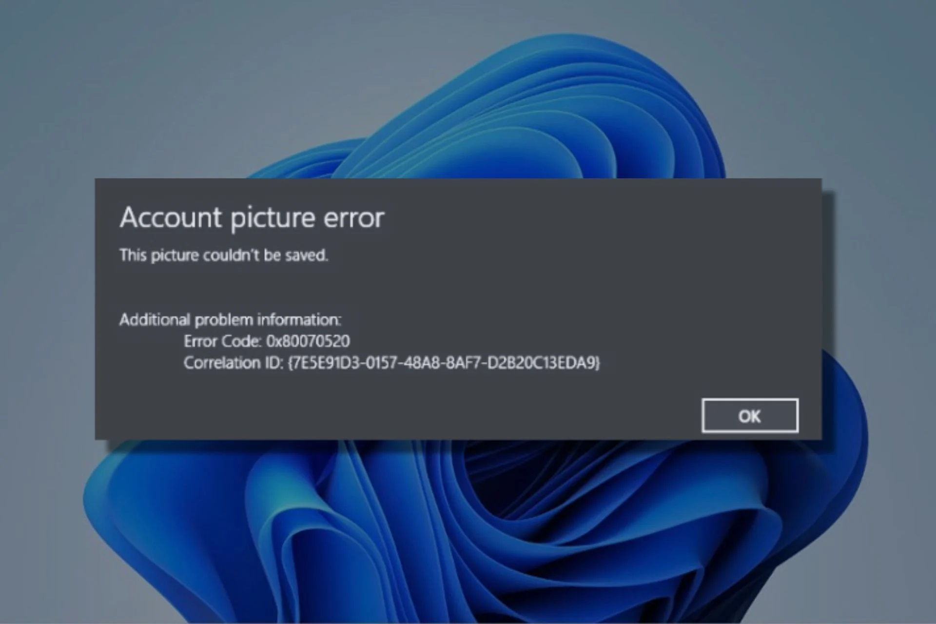 The new KB5039213 may trigger the account picture error again