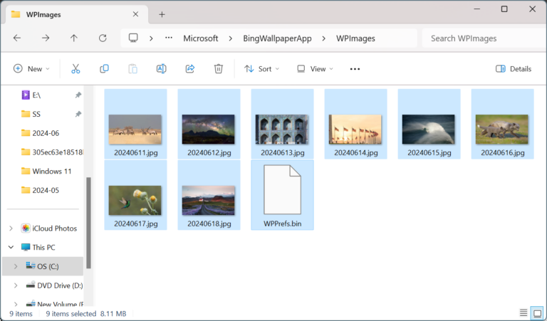 Bing Wallpaper Not Changing the Desktop Background [Solved]