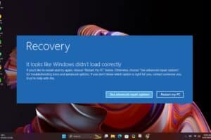 Solved: It Looks Like Windows Didn't Load Correctly