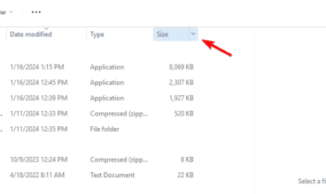 Sort Files by Size in Windows 11: Use These 3 Ways to do it