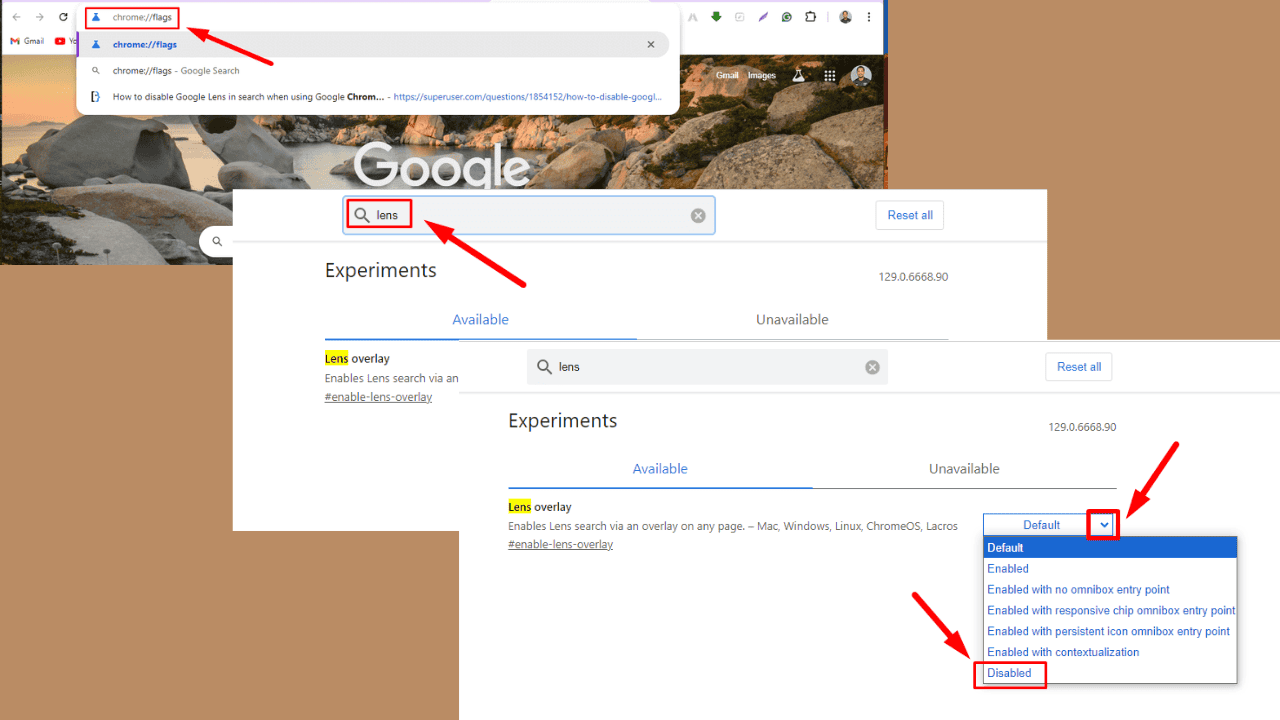 Turn Off Google Lens in Chrome