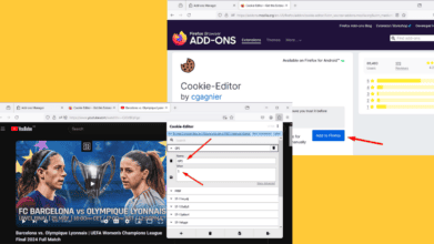 Cookie Editor Firefox