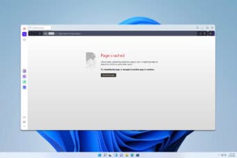 10 Best Themes for Opera Browser [Download & Install]