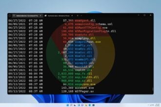 chrome incognito command line