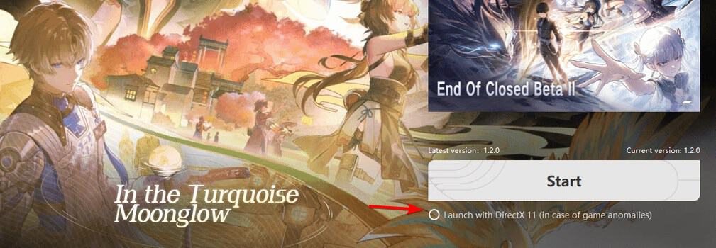 launch with directx11