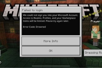 minecraft error code drowned switch