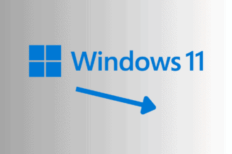 The Windows 11 market share is dropping again