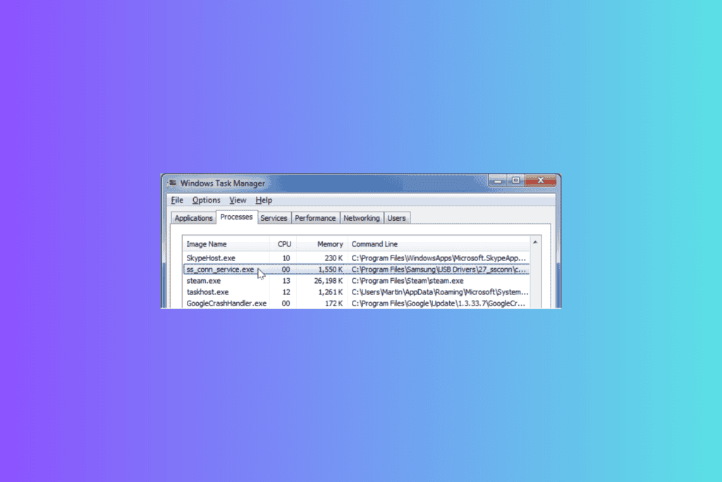 Windows Update Ss Ss_conn_service.exe: What is It & Should I Delete It?
