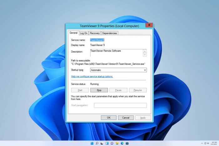teamviewer_service-exe