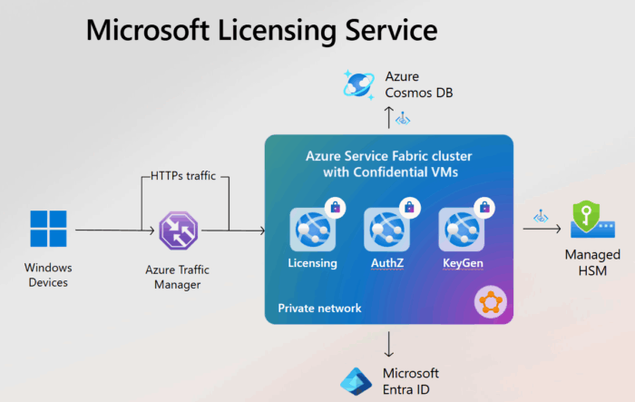 Windows Licensing Service