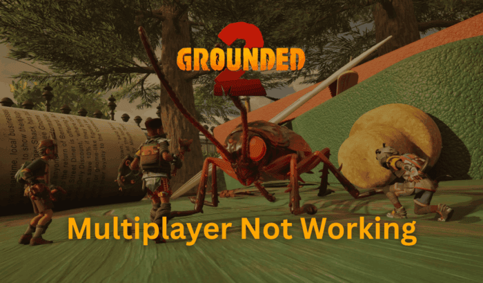 Grounded 2 multiplayer not working (1)