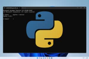 Easy Ways to Check Python Version in Windows CMD