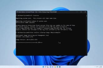 dism commands windows 11