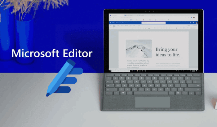 Microsoft Editor banner