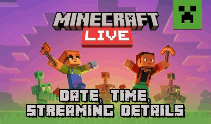 How to See Chunks in Minecraft Java and Bedrock