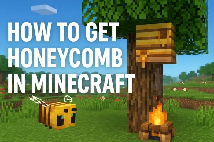 How to See Chunks in Minecraft Java and Bedrock