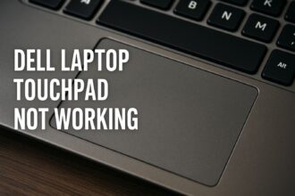dell laptop touchpad not working