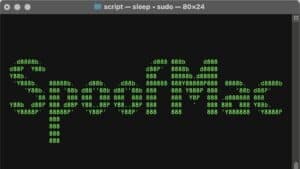 Best MAC Address Changer Tools For Your Windows PC
