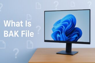 what is bak file