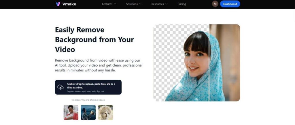 Vmake.ai background remover