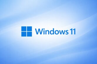 windows 11 project 20/20