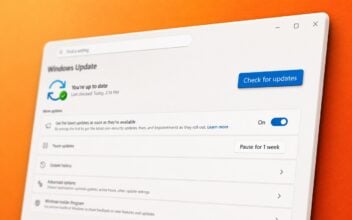 Windows 11 24H2 warning