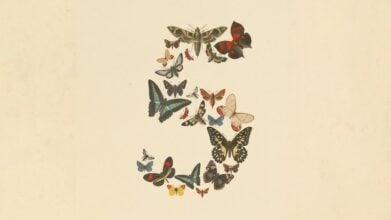 claude fable 5