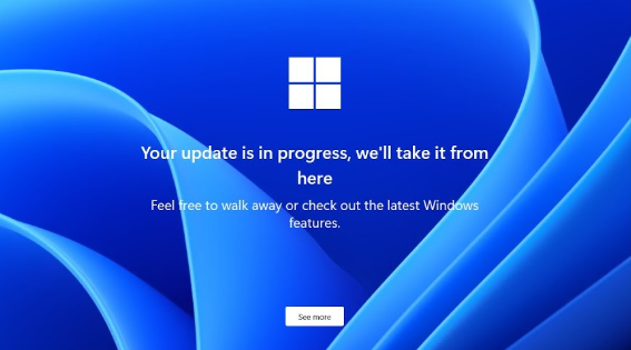Windows 11 OOBE