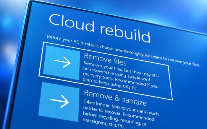 remove and sanitize windows 11