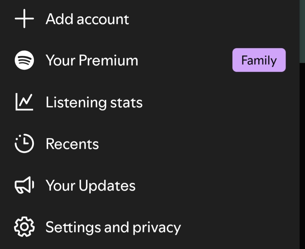 spotify account