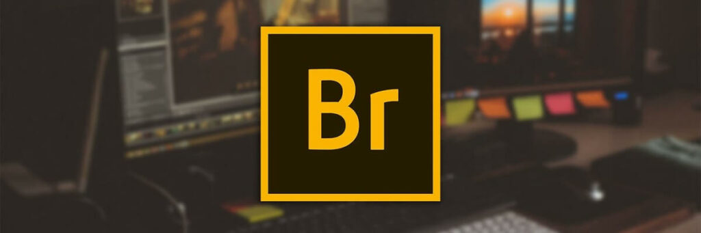 Adobe Bridge